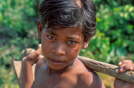 A close-up portrait of a shirtless Indian boy with a hoe on his shoulders during a work break, the sweat beaded on the forehead, the child stare at camera with great dignity, blurred background