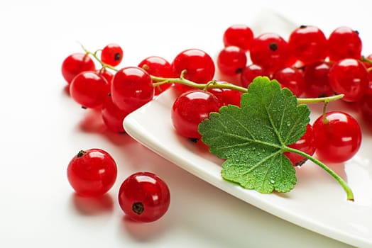 Fresh red currant berries with leaf on wooden background close up