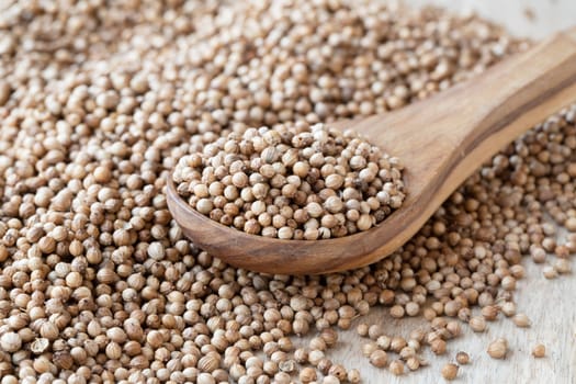 Wooden spoon full of whole coriander seeds