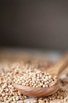 Woodens spoon full of whole coriander seeds. vertical orientation wtih copy space