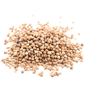 Pile of coriander seeds isolated on a white background