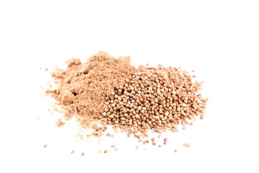 Dried coriander seeds and coriander powder isolated on a white background