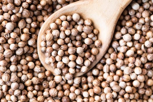 Pile of coriander seeds with some in a wooden spoon