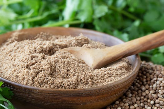 Bowl of coriander powder with wooden spoon, surrounded by cilantro leaves and whole coriander seeds.