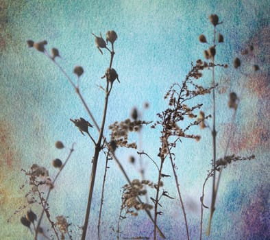 grey watercolor blue ochre sepia texture