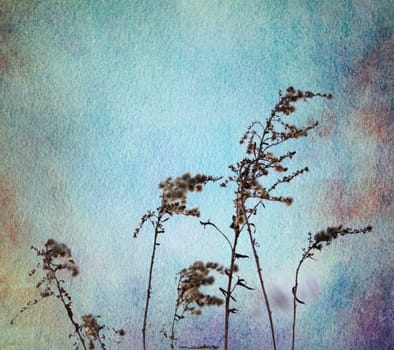 grey watercolor blue ochre sepia texture
