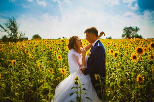 bride and groom against the background of a field of sunflowers.