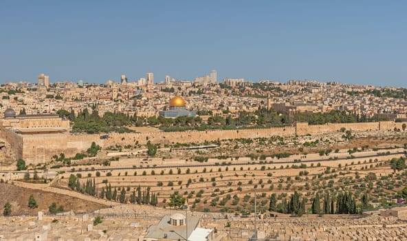 Jerusalem Viewded from the Garden on Gethsemane in Israel