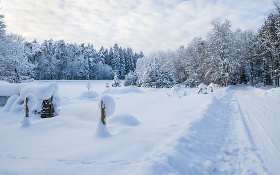 Snow-covered landscape in the countryside. Viitna, Estonia