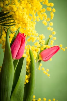 Spring bouquet with mimosa and tulips