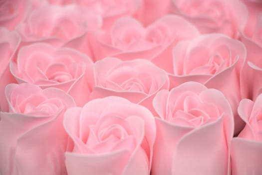 Pink roses on the wooden background