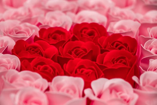 Pink and red roses on the wooden background