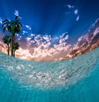 Tropical Waters. Underwater view. Green palm trees