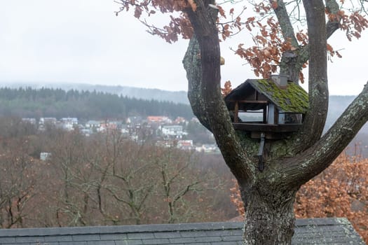 feeders for birds on a tree in Winter in Langgöns