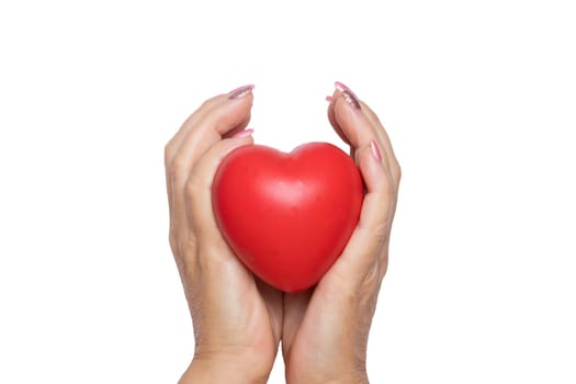 A woman holds a red symbolic heart in her palms. Close-up isolated on a white background. Concept of caring, warmth and charity.
