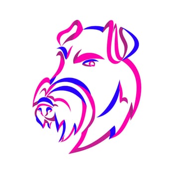 Curly Ribbon style illustration of head of an angry and aggressive Manchester Terrier, a breed of dog of the smooth-haired terrier type  done in twisted free flowing line art on isolated background.