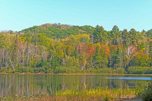 Fall Colors on a Forested Arrowhead Lake in Arrowhead Provincial Park in Ontario, Canada
