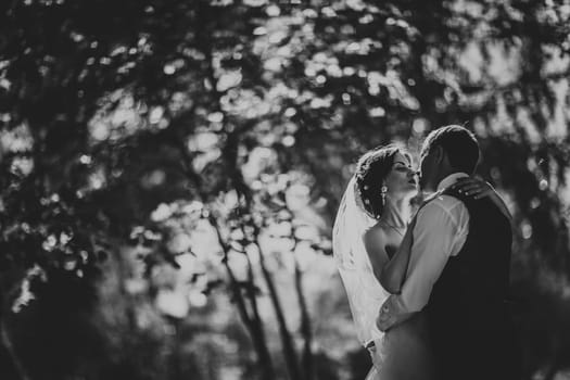 The bride and groom in the background of the park