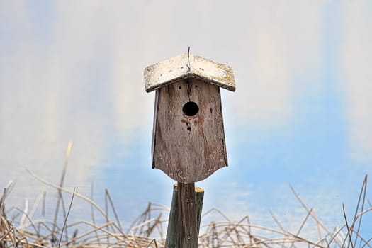A birdhouse against a blue blurry background.