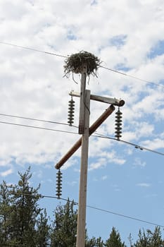A large birdnest on a power pole.