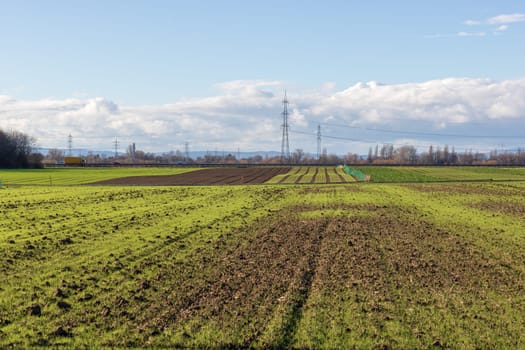 empty fields in winter in countryside. nature in Frankenthal - Germany