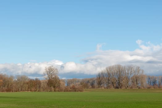 empty fields in winter in countryside. nature in Frankenthal - Germany