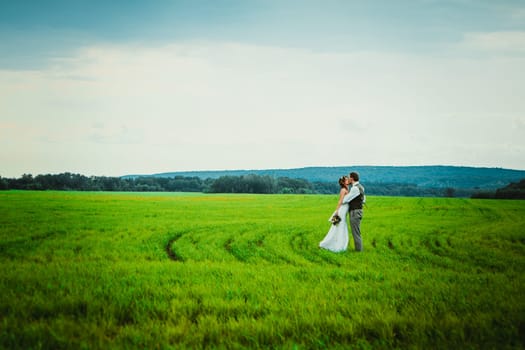 bride and groom stand on the background of the field.