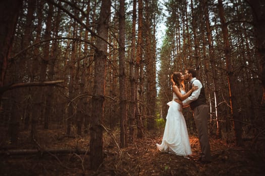 bride and groom in the forest of firs.