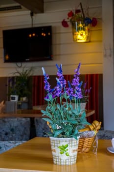 Flower decoration in cafe, Latvia. Flowers in a vase. Cafe interior with flowers. Flower vase decor on the table. ..