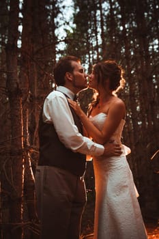 bride and groom in the forest of firs.