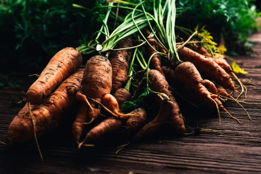 Fresh carrots from the garden close-up on a wooden background.