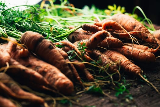 Fresh carrots from the garden close-up on a wooden background.