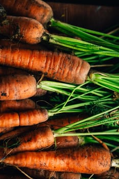 Fresh carrots close-up on a wooden background.