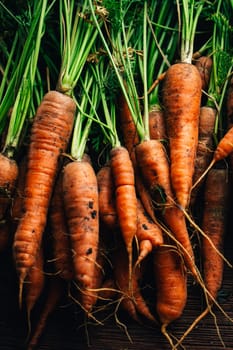 Fresh carrots close-up on a wooden background.