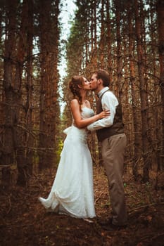 bride and groom in the forest of firs.