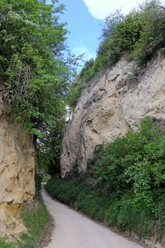 Loess hollow path near Bickensohl in the Kaiserstuhl