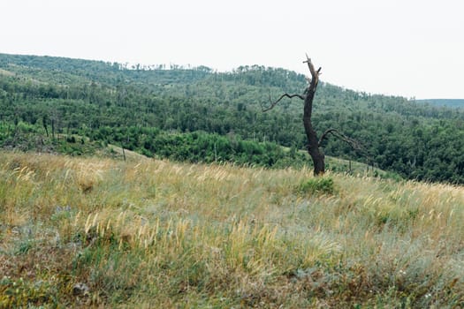 landscape of mountains and grass against the sky.