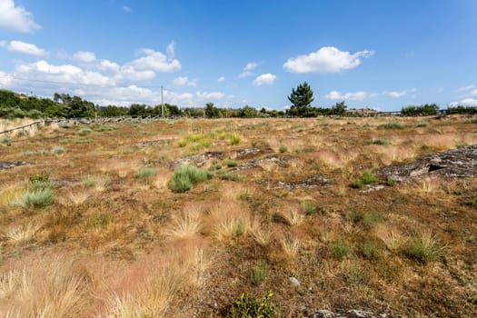 Panoramic view of the Early Middle Ages Necropolis of Forcadas with more than twenty sepultures, or burial sites, cut on the rock near Fornos de Algodres, Beira Alta, Portugal