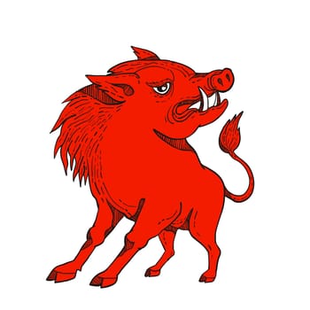Doodle art illustration of a red razorback, wild pig boar or hog looking to side on isolated background done in bright red colorcaricature style.