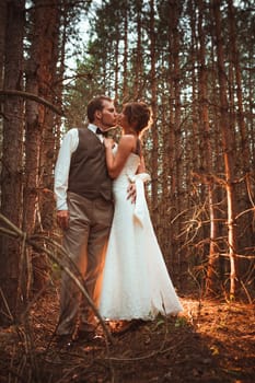 bride and groom in the forest of firs.