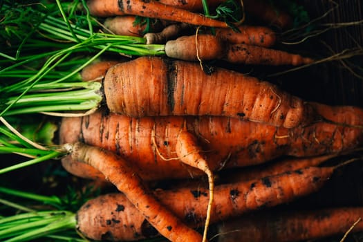 Fresh carrots close-up on a wooden background.