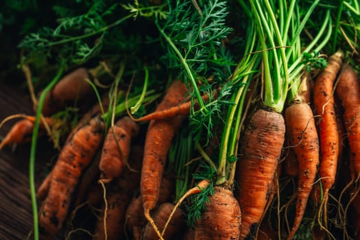 Fresh carrots from the garden close-up on a wooden background.