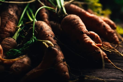 Fresh carrots from the garden close-up on a wooden background.