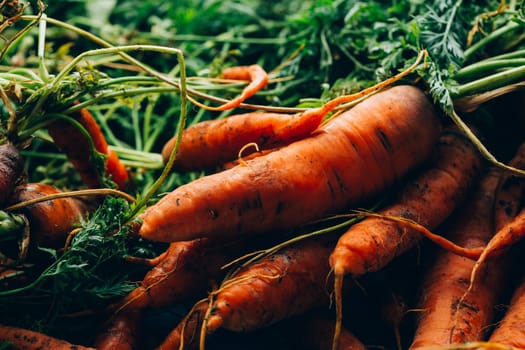 lot of carrots on a wooden background.