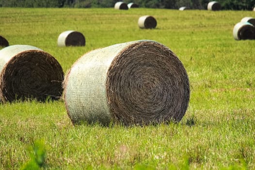 Hay bales sitting in a field during the summer.