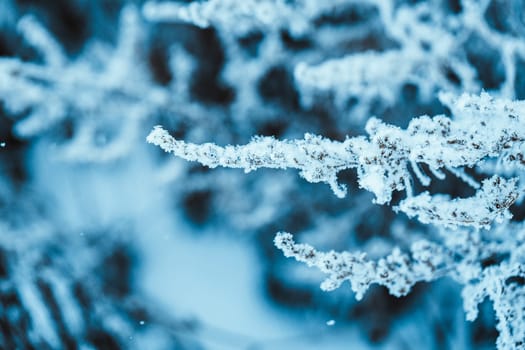 branches in the snow during the day.