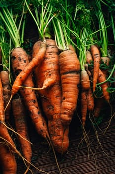 Fresh carrots close-up on a wooden background.