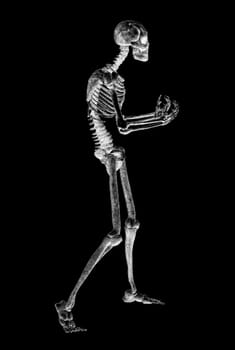 Skeleton abstract sketch digital illustration on black background.