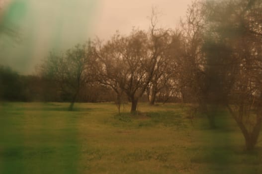 Landscape through paint smudged lens. Winter trees abstract blur.