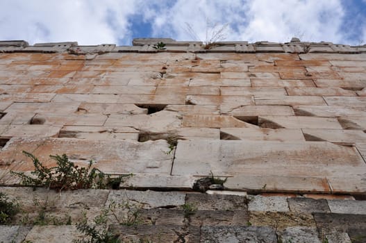 Under the Acropolis wall. Plants and flowers growing on ancient ruins, Athens Greece.